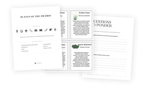 Plants of the Prairie