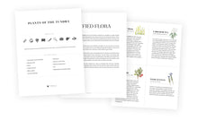 Plants of the Tundra