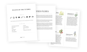 Plants of the Tundra
