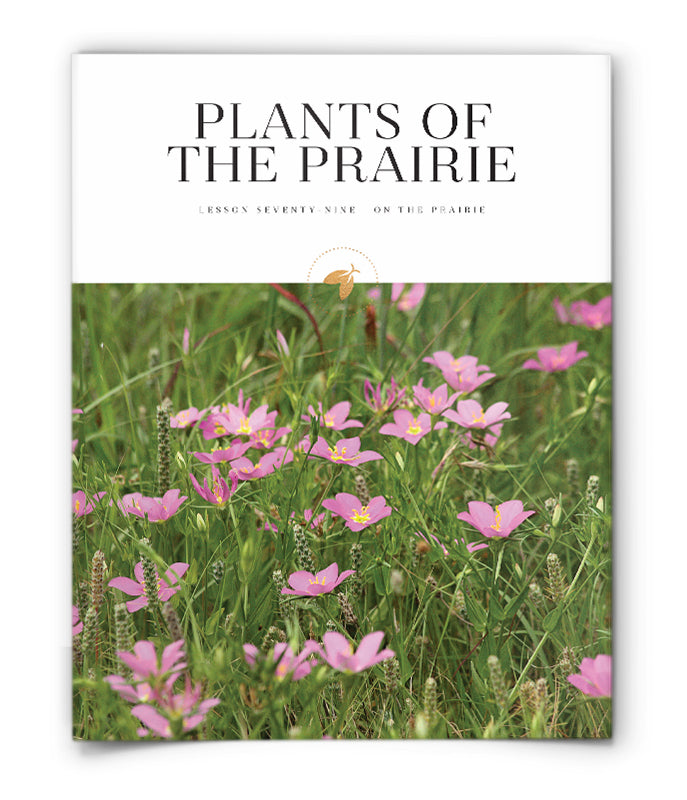 Plants of the Prairie