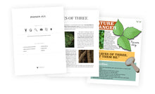 Nature Dangers - Poison Ivy
