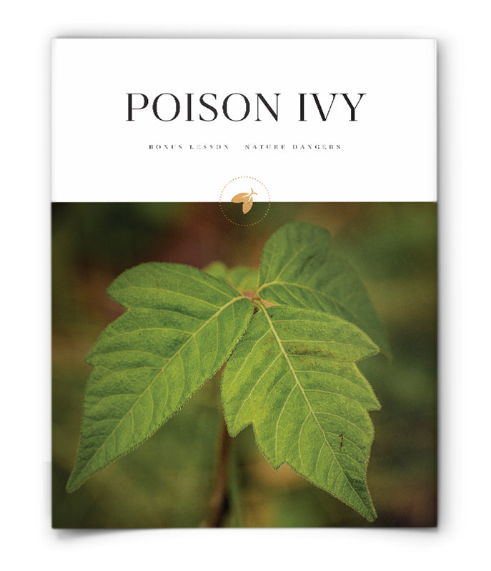 Nature Dangers - Poison Ivy