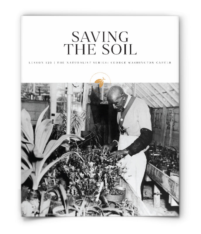 Saving the Soil