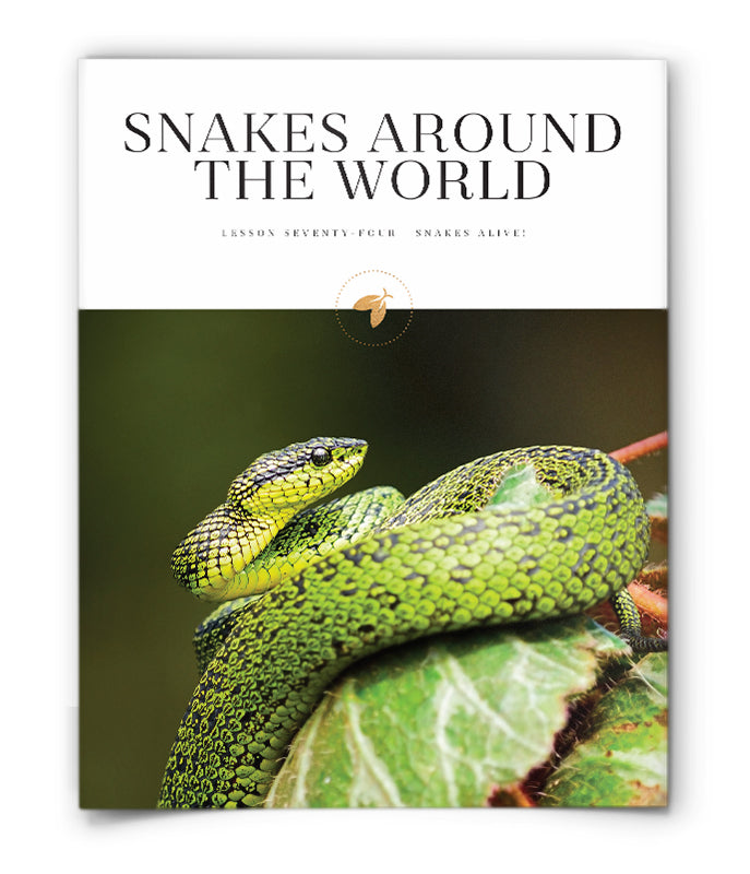 Snakes Around the World