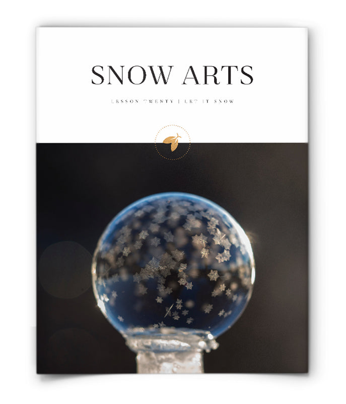 Snow Arts
