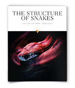 The Structure of Snakes