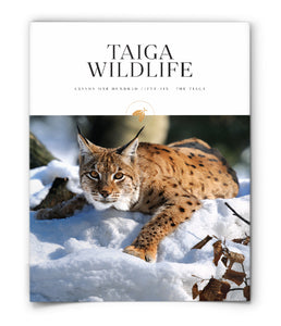 Taiga Wildlife