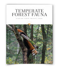 Temperate Forest Fauna