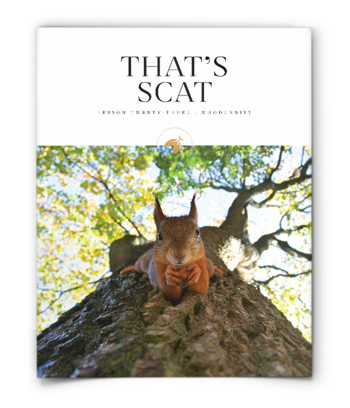 That's Scat!