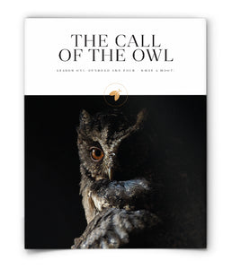 The Call of the Owl