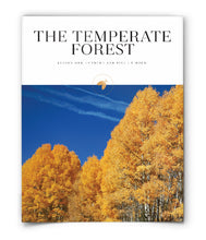 The Temperate Forest