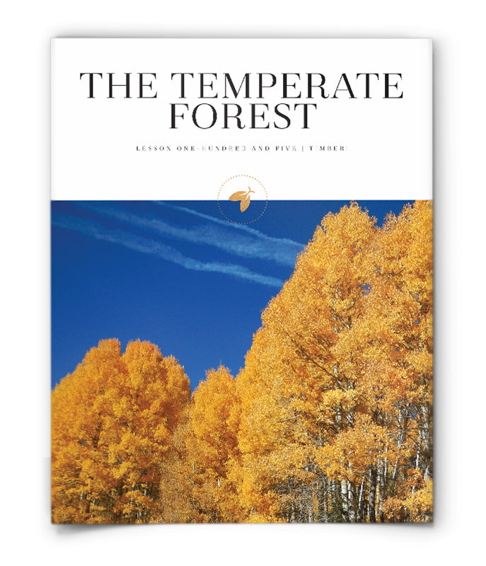 The Temperate Forest