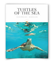 Turtles of the Sea