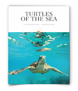 Turtles of the Sea