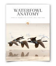Waterfowl Anatomy