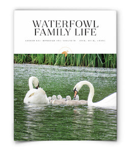 Waterfowl Family Life