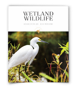 Wetland Wildlife