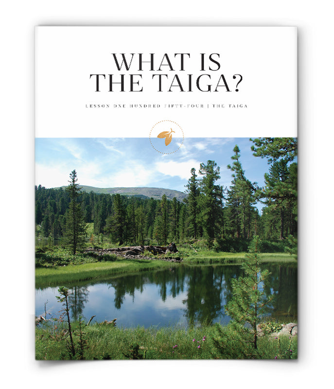 Firefly Nature School - What is The Taiga?