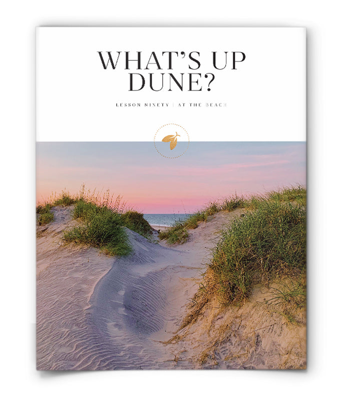 What's Up Dune?
