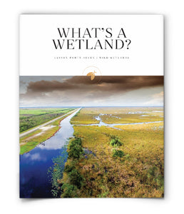 What's a Wetland?