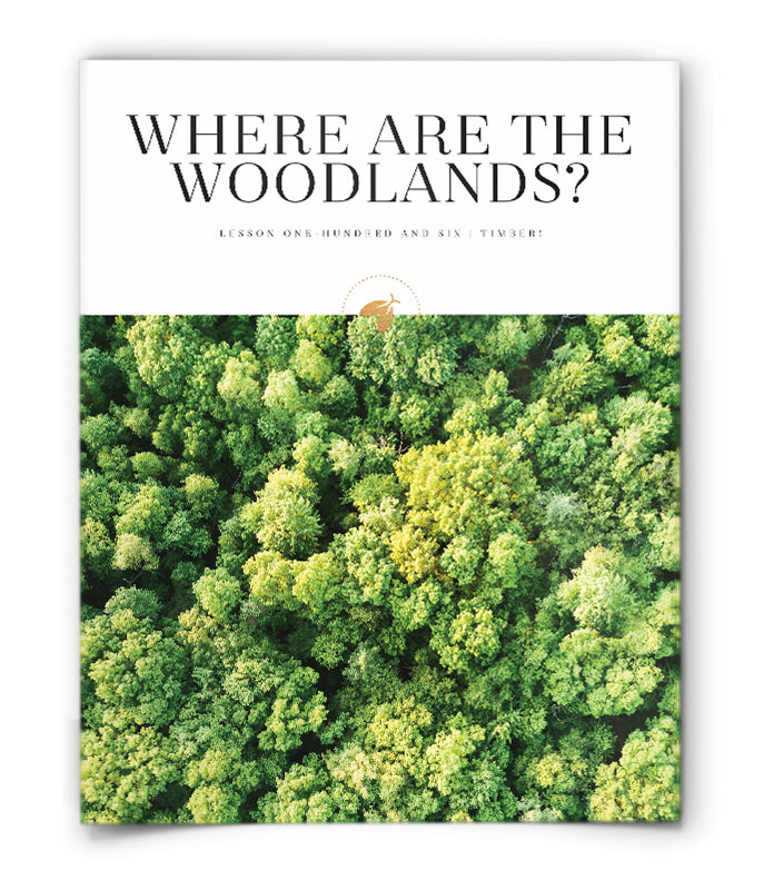 Where are the Woodlands?