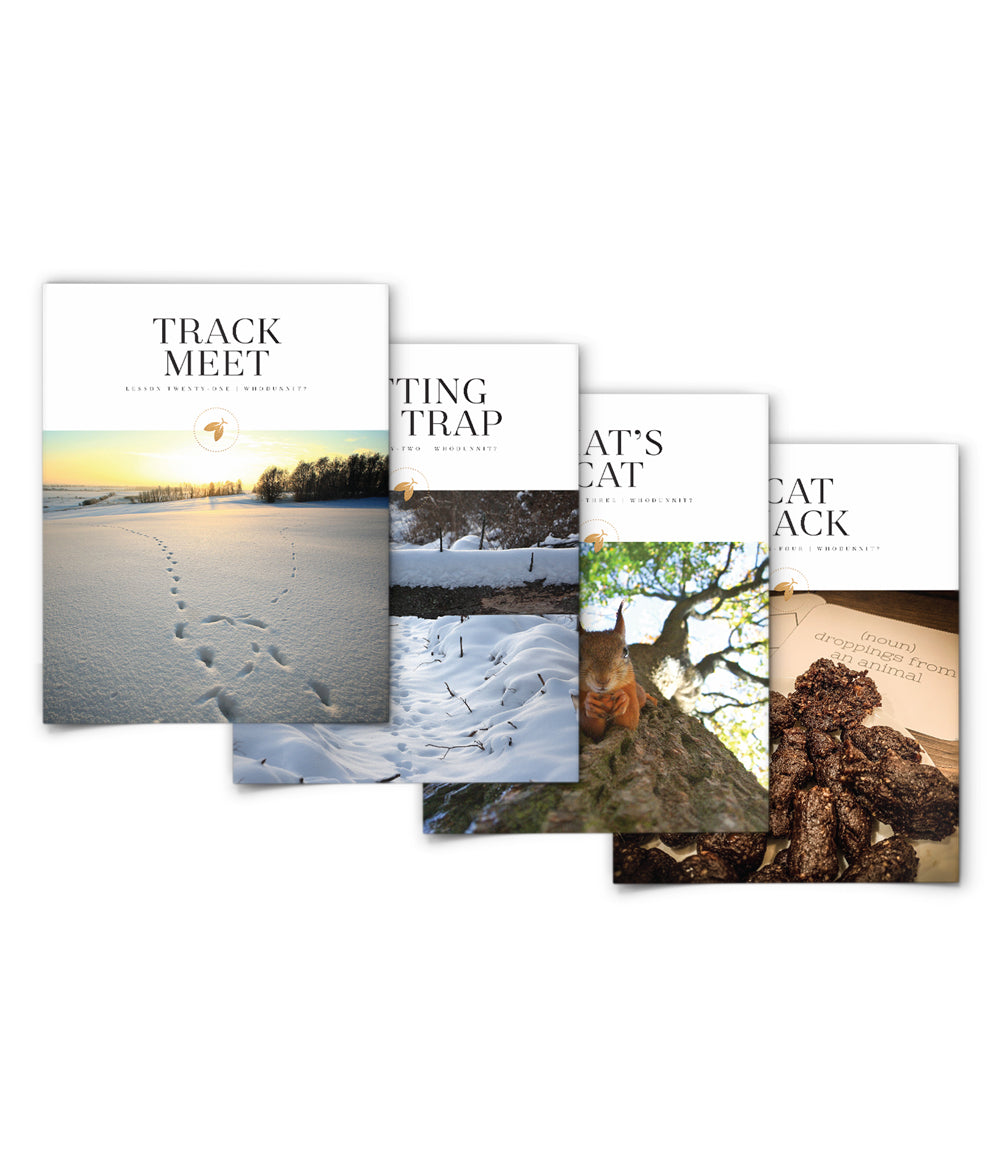 Whodunnit? Bundle