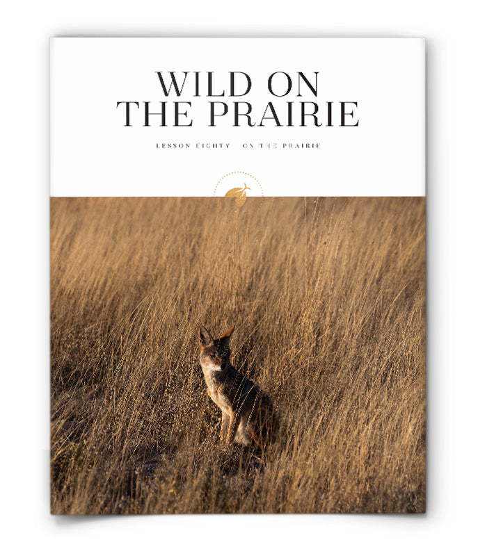 Wild on the Prairie