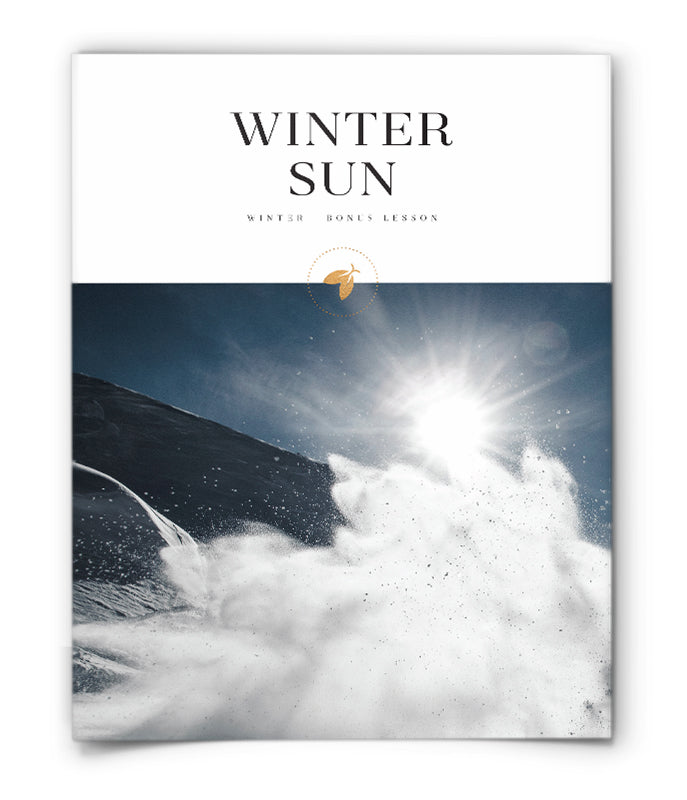 Winter Sun