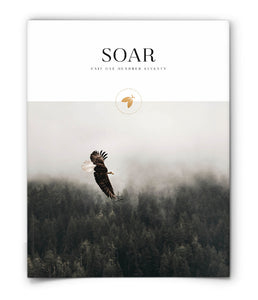 Soar
