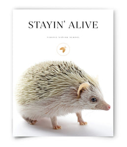 Stayin' Alive